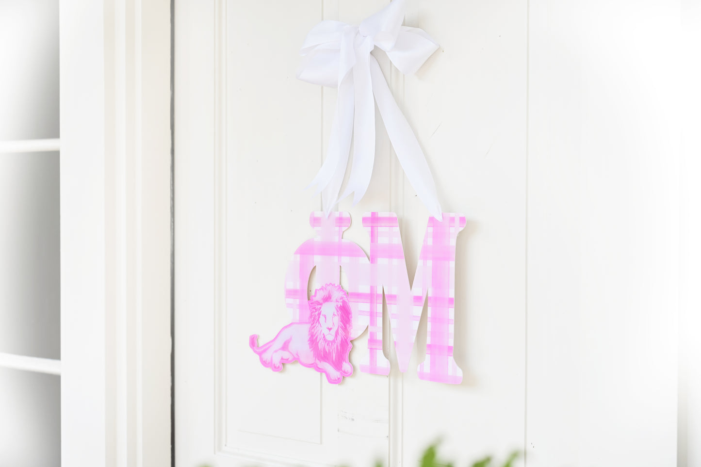Phi Mu Door Hanger